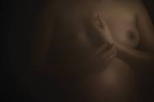 Carole BIRARD - Carole B photography