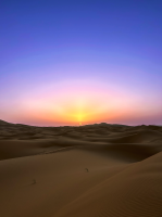 Iris SALEANDRO - LOEILDIRIS